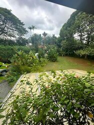 Bin Tong Park (D10), Detached #441820511